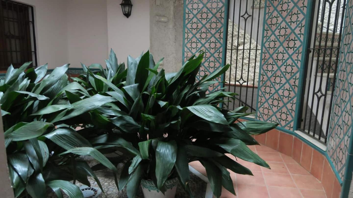 Charming Albaicin Patio Flat Free Onsite Parking Apartment Granada Ngoại thất bức ảnh