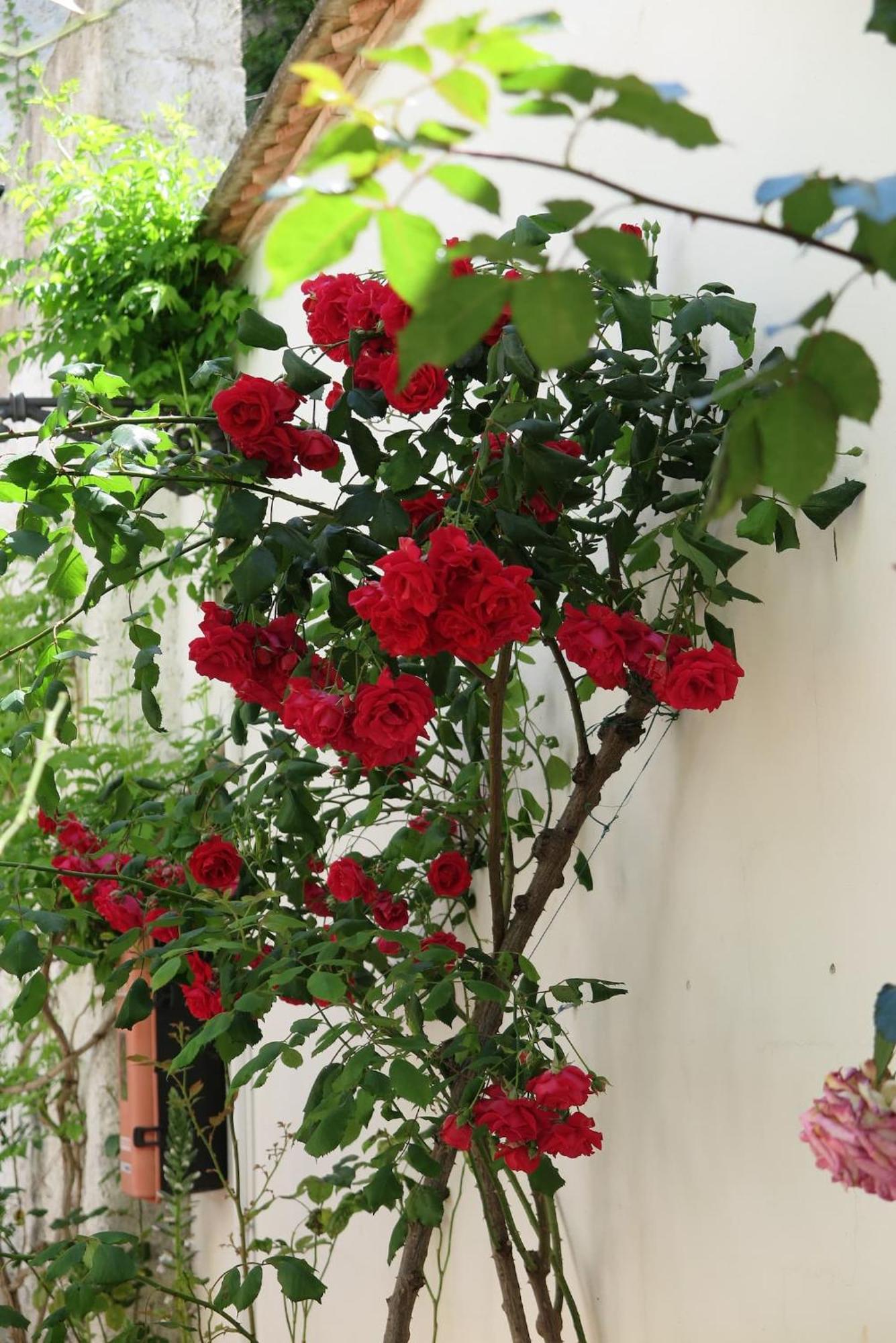 Charming Albaicin Patio Flat Free Onsite Parking Apartment Granada Ngoại thất bức ảnh