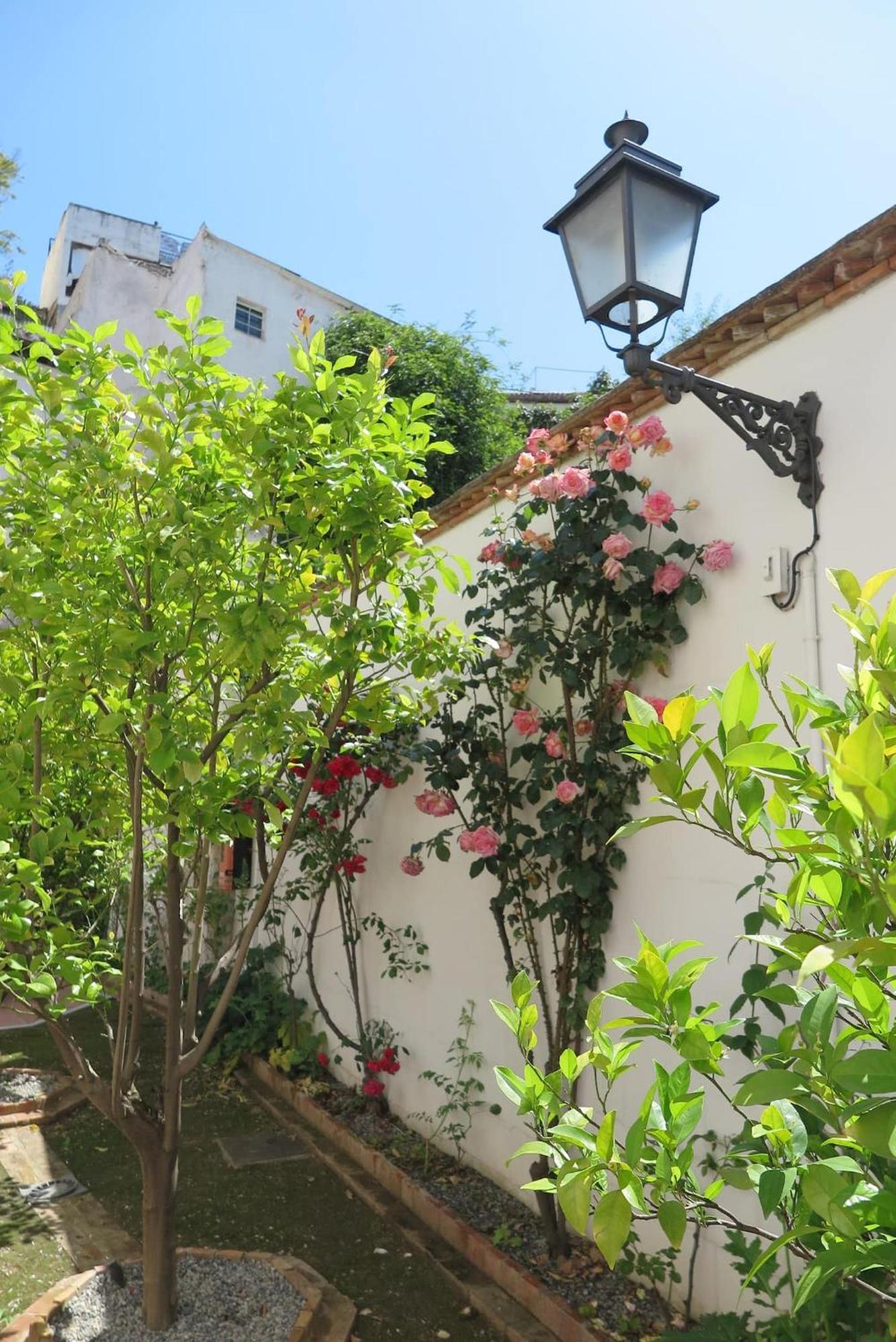Charming Albaicin Patio Flat Free Onsite Parking Apartment Granada Ngoại thất bức ảnh
